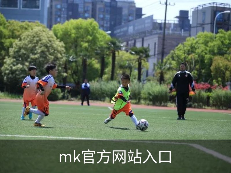 关于mk官方网站入口